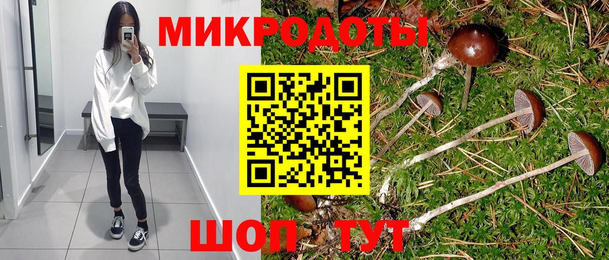 Псилоцибиновые грибы Magic Shrooms Гатчина