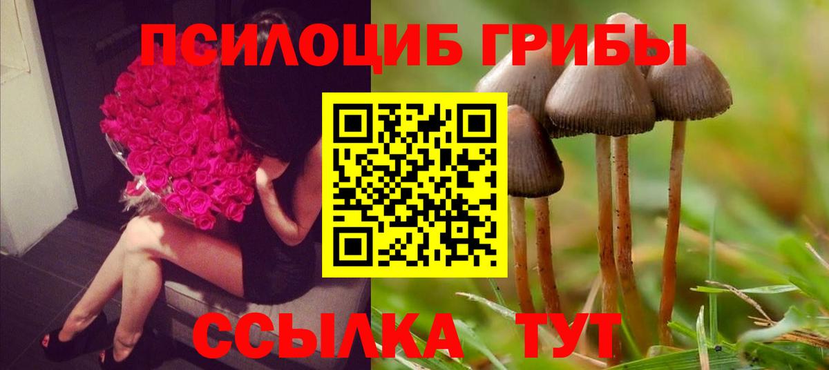 Псилоцибиновые грибы мицелий  Вход с VPN  Гатчина  как найти   Галлюциногенные грибы мухоморы 